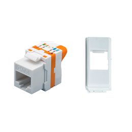 TechLy presa di rete RJ45 UTP Cat.6 tooless + Now bianca