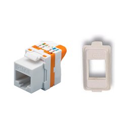 TechLy presa di rete RJ45 UTP Cat.6 tooless + Magic bianca