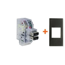 Fanton caricatore doppia presa USB AA 5V 2,4A compatibile Bticino Axolute grigio scuro - 82892-AG