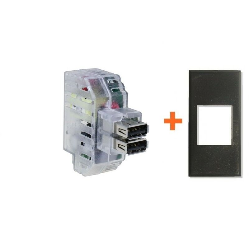 Fanton caricatore doppia presa USB AA 5V 2,4A compatibile Bticino Axolute grigio scuro - 82892-AG